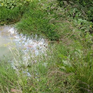 Heating Oil Spillage